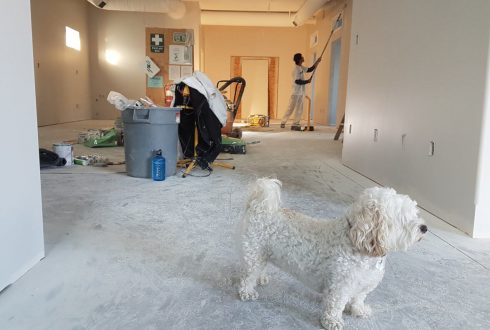 Home 43 Structural Condition Surveys